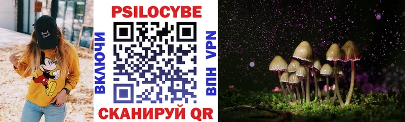 Купить закладки  Элиста  Псилоцибиновые грибы Psilocybine cubensis 